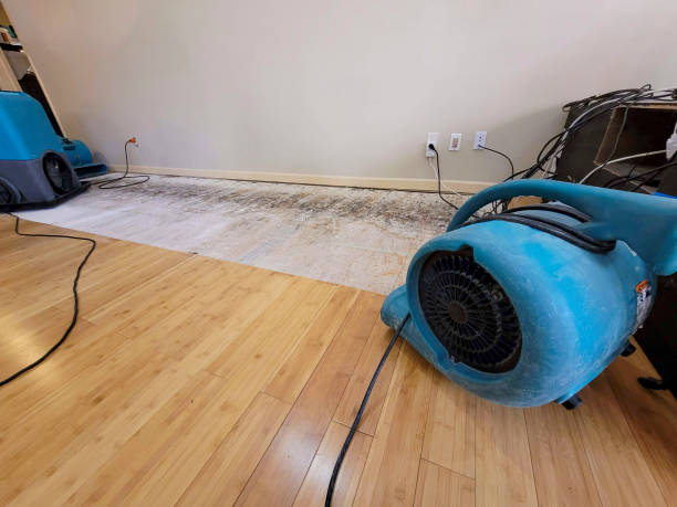 Professional Flood Damage Cleanup technician working in Kaleva, MI